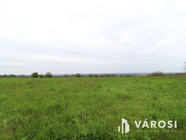Győr Ménfőcsanakon eladó telek mezőgazdasági övezetben
