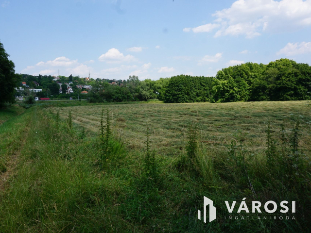 A lehetőségek telke a Solymárvölgyi úton!