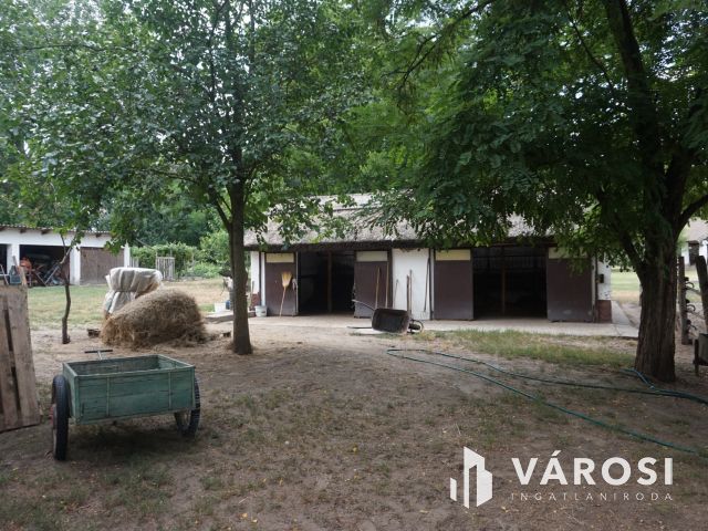 Igényes tanyakomplexum akár falusi turizmusra!