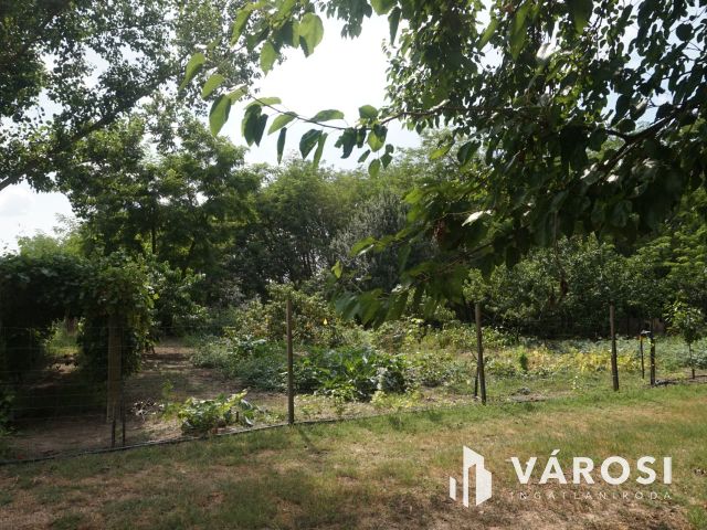 Igényes tanyakomplexum akár falusi turizmusra!