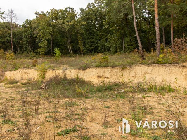 Belterületi építési telek Pilisborosjenőn a Malom dűlőben