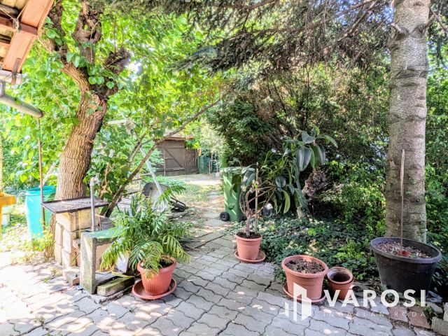 Családi ház gyönyörű kerttel!