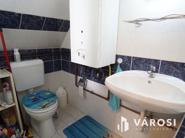 Gyékényesen vízparti hétvégi ház, nyaraló!