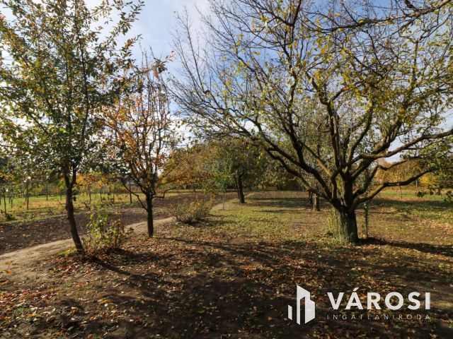 Eladó 3 szobás családi ház Újkígyóson, rendezett kerttel