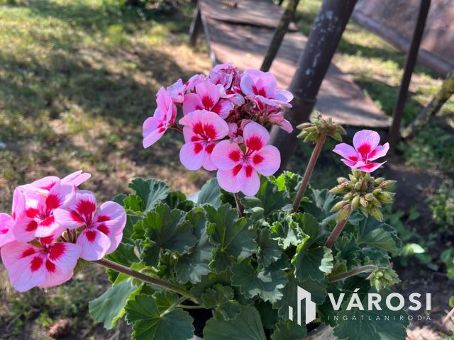 Debrecen-Apafán, Madárdalos Önellátó Kis Birtok Eladó!