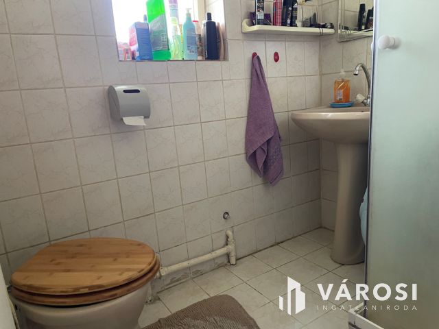 3 szobás családi ház, gyümölcsös és egy külön lakrész